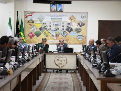 توسعه کشت سماق در آذربایجان شرقی خرید تضمینی ۵۱ هزار تن گندم در آذربایجان‌ شرقی