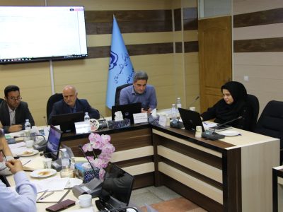 طرح هادی روستایی با رویکرد کمک به معیشت مردم اجرا می شود