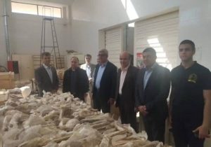 تسریع در تکمیل مرکز تحقیقات و موزه دیرینه‌شناسی مراغه؛ گامی برای ارتقای جایگاه علمی و گردشگری کشور