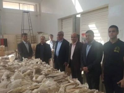 تسریع در تکمیل مرکز تحقیقات و موزه دیرینه‌شناسی مراغه؛ گامی برای ارتقای جایگاه علمی و گردشگری کشور