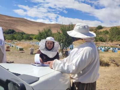 آغاز سرشماری سراسری زنبورستان‌های کشور از ۵ مهرماه