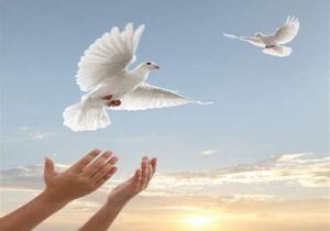 جوان ۳۹ ساله گوگانی برای چهارمین بار پیاپی به یاری زندانیان غیرعمد شتافت