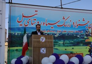 جشنواره زرشک سیاه تیل؛ فرصتی برای توسعه کشاورزی و اشتغال در روستای تیل