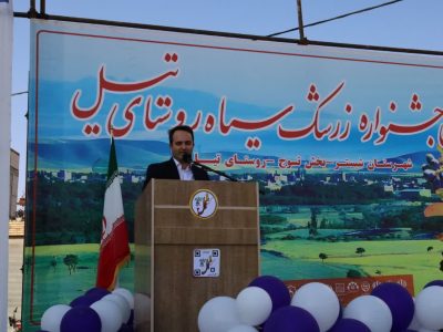 جشنواره زرشک سیاه تیل؛ فرصتی برای توسعه کشاورزی و اشتغال در روستای تیل