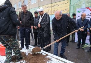 توزیع یک میلیون و ۸۰۰ هزار اصله نهال در آذربایجان شرقی