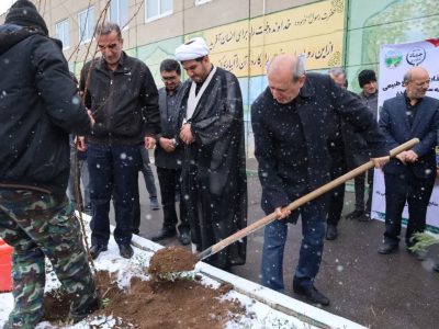 توزیع یک میلیون و ۸۰۰ هزار اصله نهال در آذربایجان شرقی