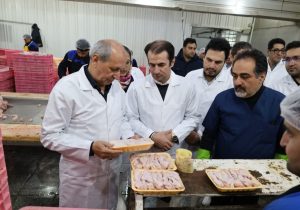 تولیدکنندگان گوشت مرغ در آذربایجان شرقی پای کار هستند