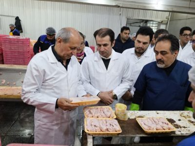 تولیدکنندگان گوشت مرغ در آذربایجان شرقی پای کار هستند