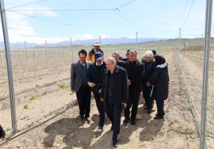 بازدید رئیس جهاد کشاورزی آذربایجان شرقی از مجموعه «گوزل طبیعت ارس»