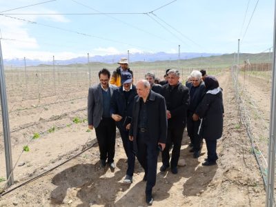 بازدید رئیس جهاد کشاورزی آذربایجان شرقی از مجموعه «گوزل طبیعت ارس»