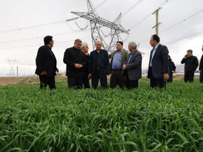 بازدید رئیس جهاد کشاورزی آذربایجان شرقی از مزارع گندم و کلزای جلفا