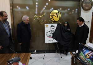 نشان افتخار بر سینه سیمبانان شرکت توزیع نیروی برق تبریز