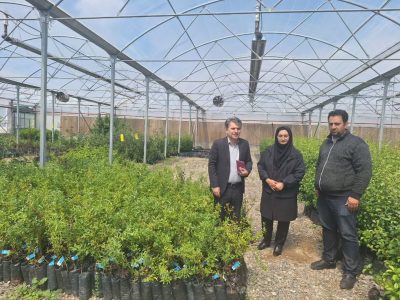 تخصیص ۲۰ میلیاردریال یارانه برای گسترش نهال‌های کشت‌بافتی در استان آذربایجان شرقی