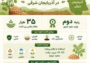 شتاب در توسعه کشت نخود دیم در آذربایجان شرقی