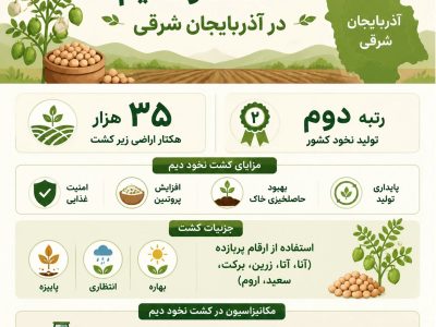 شتاب در توسعه کشت نخود دیم در آذربایجان شرقی