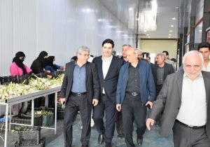 صنایع تبدیلی، زیرساختی مؤثر برای کاهش ضایعات بخش کشاورزی