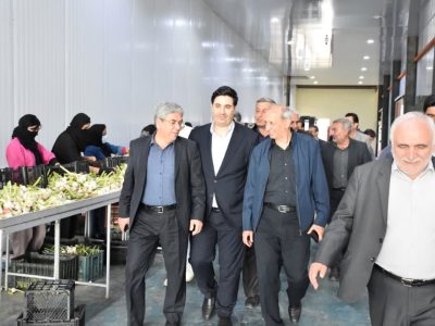 صنایع تبدیلی، زیرساختی مؤثر برای کاهش ضایعات بخش کشاورزی