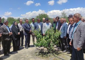 تأکید جهاد کشاورزی آذربایجان شرقی برای احیای باغات خسارت‌دیده شبستر