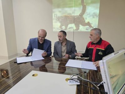توسعه مسئولیت اجتماعی صنایع در محیط زیست؛ حمایت از گربه پالاس در قالب تفاهم‌نامه جدید