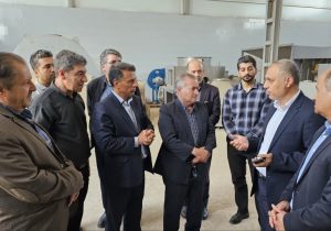 آذربایجان شرقی؛ قلب تپنده زنجیره فرش ایران / از احیای صنایع رنگ آذر تا افتتاح واحدهای جدید پشم‌شویی و ریسندگی