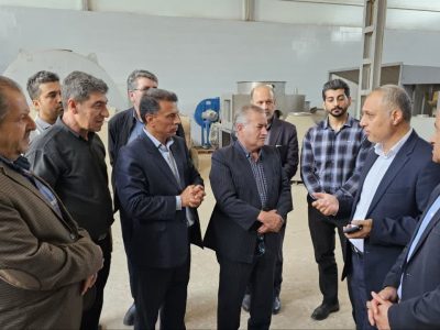 آذربایجان شرقی؛ قلب تپنده زنجیره فرش ایران / از احیای صنایع رنگ آذر تا افتتاح واحدهای جدید پشم‌شویی و ریسندگی