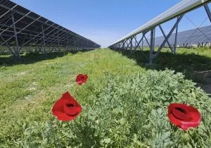 گام بلند آذربایجان شرقی برای توسعه انرژی خورشیدی