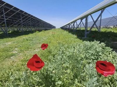گام بلند آذربایجان شرقی برای توسعه انرژی خورشیدی