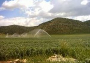 سد قیزقلعه‌سی، راه­ حلی برای توسعه اقتصاد کشاورزی کشور/ دشت حاصلخیز مغان جان تازه می‌گیرد