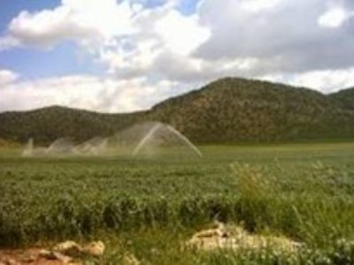 سد قیزقلعه‌سی، راه­ حلی برای توسعه اقتصاد کشاورزی کشور/ دشت حاصلخیز مغان جان تازه می‌گیرد