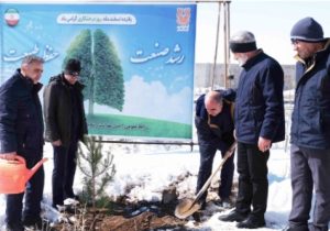 طلای سرخ، حامی طلای سبز؛ سونگون، جنگل را به حاشیه بزرگراه خواجه – ورزقان می‌آورد
