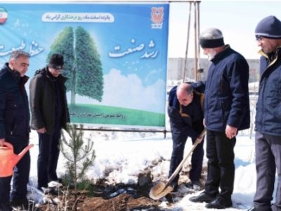 طلای سرخ، حامی طلای سبز؛ سونگون، جنگل را به حاشیه بزرگراه خواجه – ورزقان می‌آورد