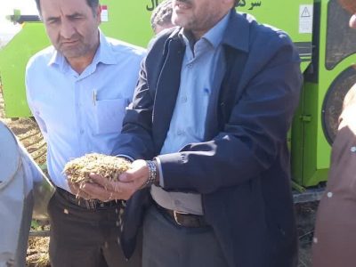 بیش از ۲۲ هزار تن برنج سفید در آذربایجان شرقی تولید شد