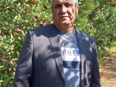 برداشت هرهکتار ۱۴۰ محصول مرغوب سیب در روستاهای کلهور شهرستان میانه