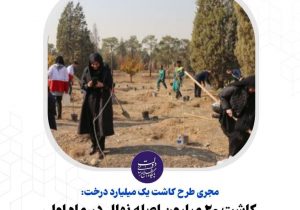 کاشت ۲۰ میلیون اصله نهال در ماه اول اجرای طرح کاشت یک میلیارد درخت