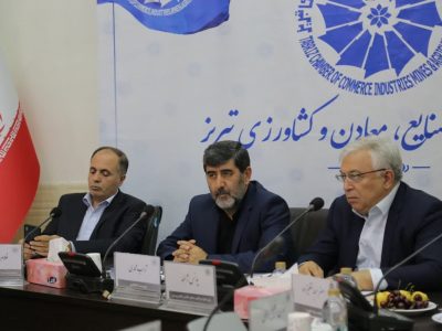 به عنوان نماینده دولت تمام قد حامی بخش تولید هستیم