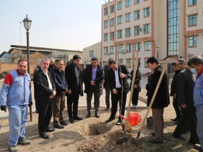 تعهد به طبیعت ضمانت انتقال انرژی پاک