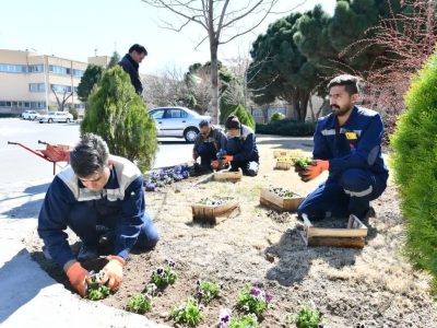 توسعه فضای سبز و گلکاری در پالایشگاه تبریز