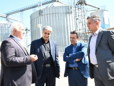 خرید تضمینی ۸۵۰۰ تن گندم در آذربایجان شرقی