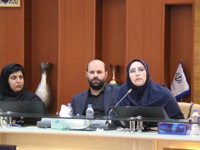 تقویت مشارکت‌های اجتماعی جوانان با راه‌اندازی شبکه‌های تخصصی