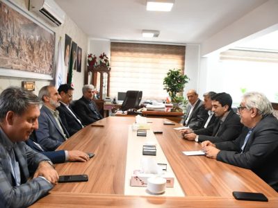 پسته ایلخچی توان رقابت در سطح ملی را دارد
