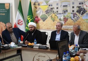 راه برون‌رفت کشور از مشکلات توجه به ظرفیت‌های داخلی است