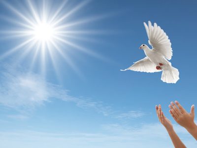 اقدام نیک مجموعه اردلان تبریز برای آزادی زندانی جرایم غیرعمد