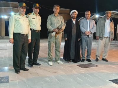 همکاری پلیس و محیط زیست برای نجات یک پرنده شکاری