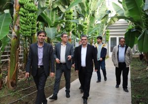 شرکت ارس تارلا امیر، الگویی ملی در توسعه گلخانه‌های مدرن کشور است