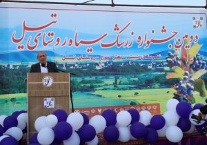 جشنواره زرشک سیاه تیل فرصتی برای معرفی این محصول