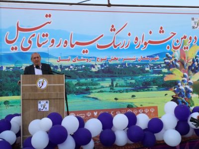 جشنواره زرشک سیاه تیل فرصتی برای معرفی این محصول