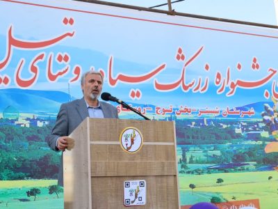 زرشک سیاه تیل؛ محصول منحصربه‌فرد استان و کشور با ظرفیت‌سازی برای توسعه اقتصادی و گردشگری شبستر