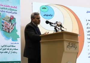 اجرای دقیق الگوی کشت ملی شرط تحقق امنیت غذایی کشور است
