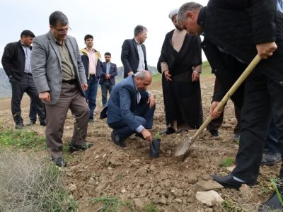 توزیع ۲۵ هزار نهال سماق کشت‌بافتی در سه شهرستان؛ آغاز نوسازی باغات سماق آذربایجان شرقی