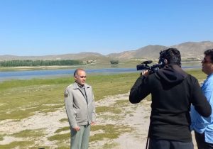 چای نبات مهمان تالاب بین المللی قوری گول/ لزوم حفاظت ازتنوع زیستی تالابها